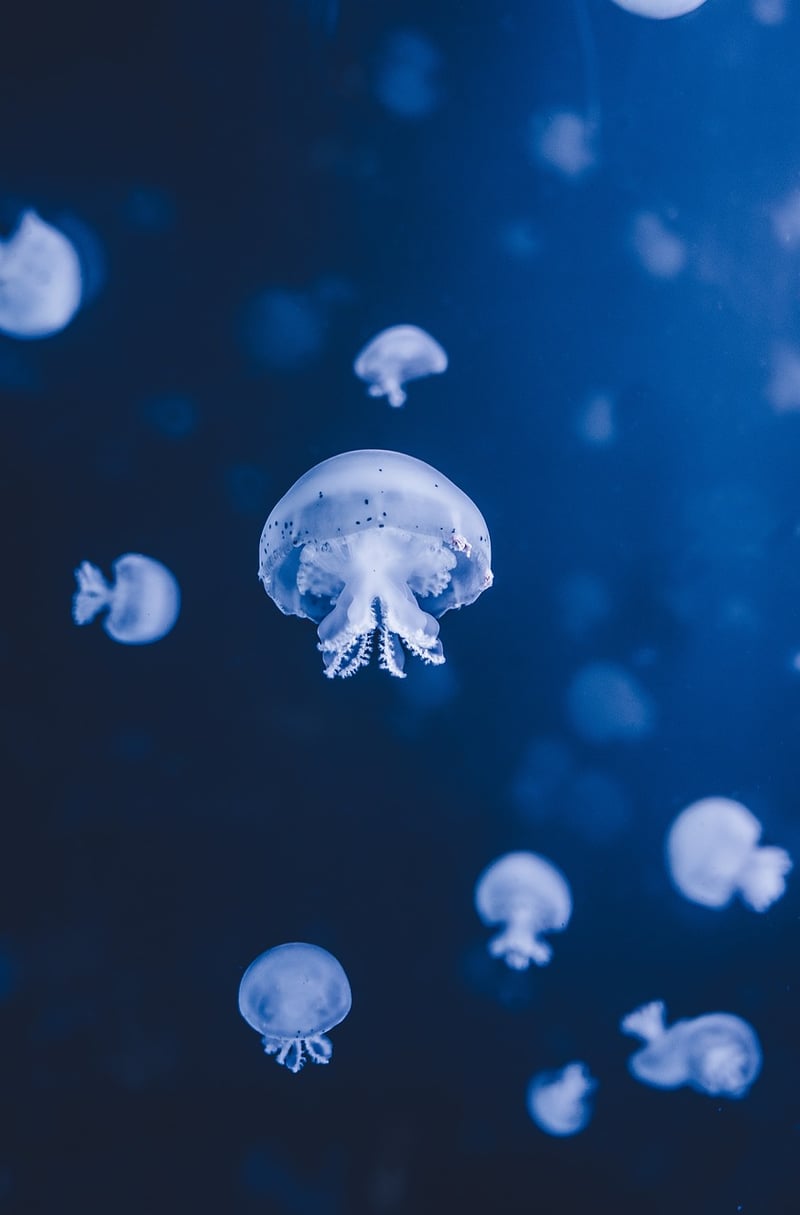 Underwater Cave